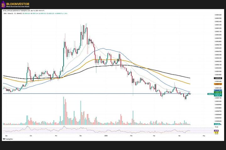 Shiba Inu price action.