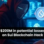 SUI Dex Hack