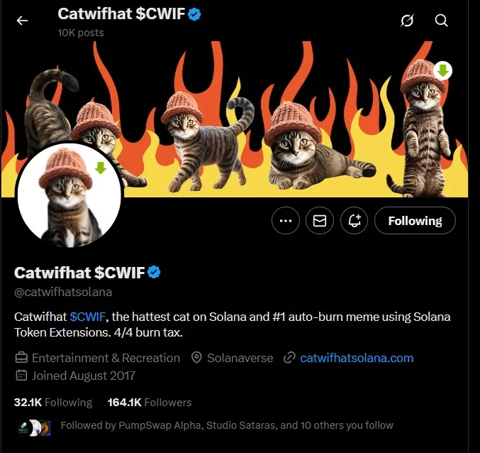 CWIF CatWifHat Solana Memecoin