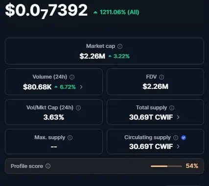 CatWifHat CWIF Solana memecoin