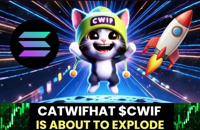 CWIF CatWifHat