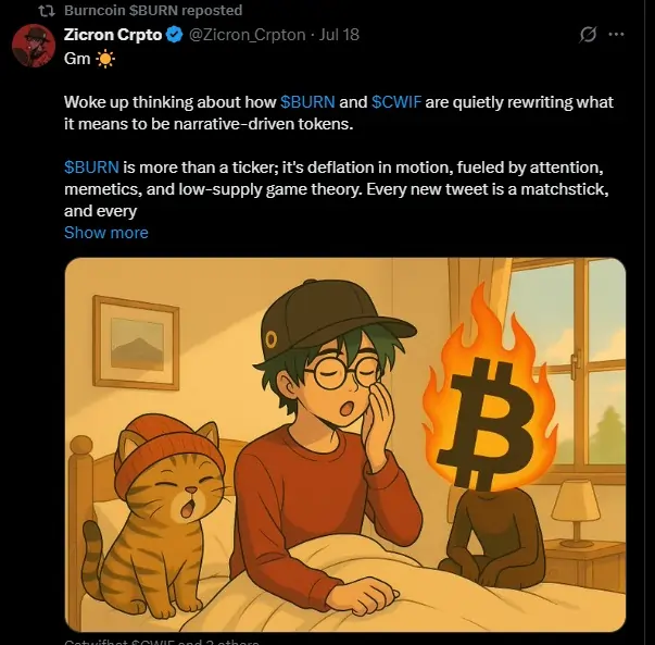 Burn Memecoins