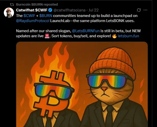 CatWifHat Burncoin Memecoins