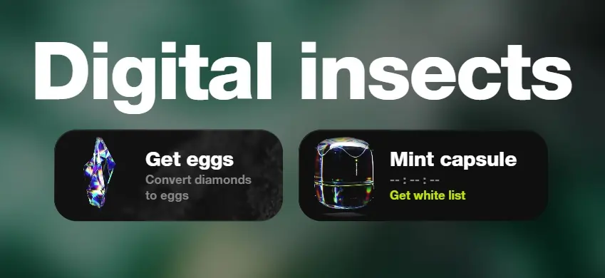 Digital Insects NFT web3