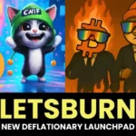 LetsBurn Launchpad